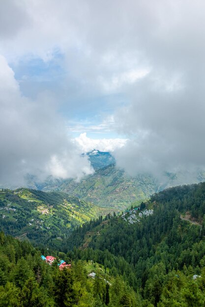 Kasauli